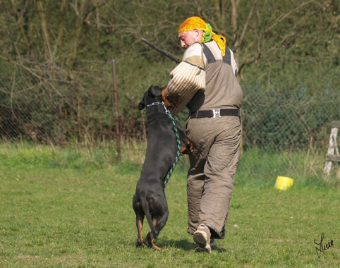 Training 4. 4. 2007